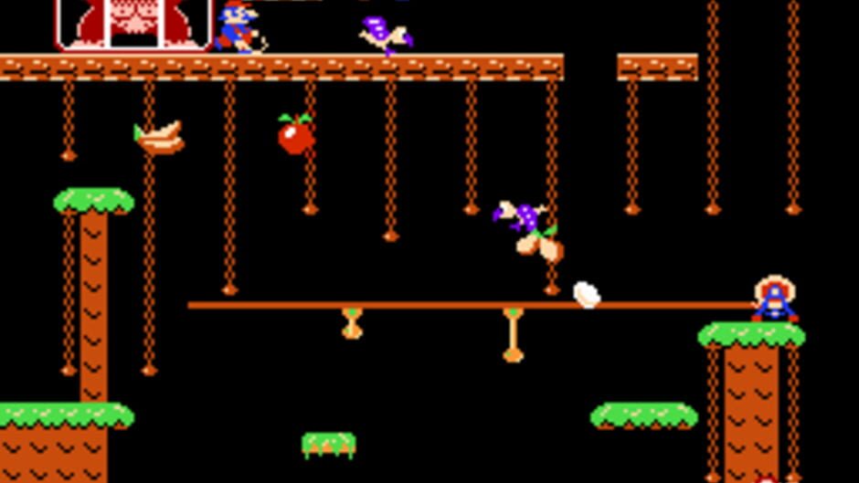 Donkey Kong Jr.