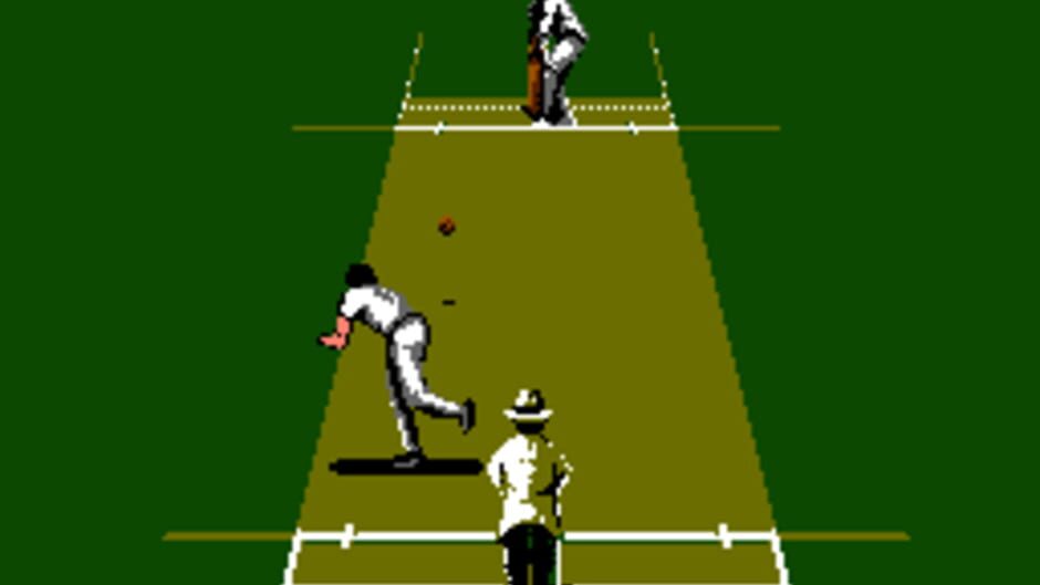 International Cricket
