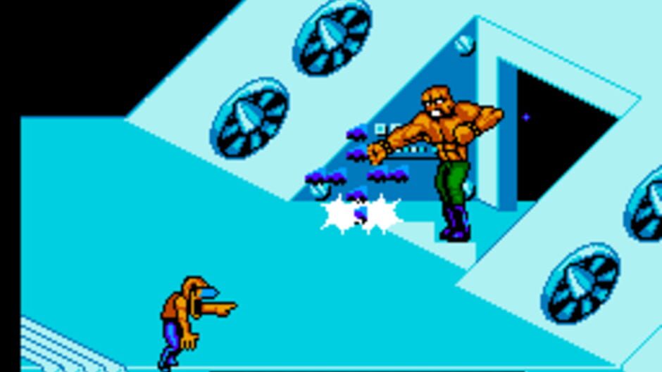 Battletoads / Double Dragon